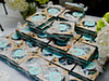 Bud and Alley's reception, Seaside Wedding, HBB Photography